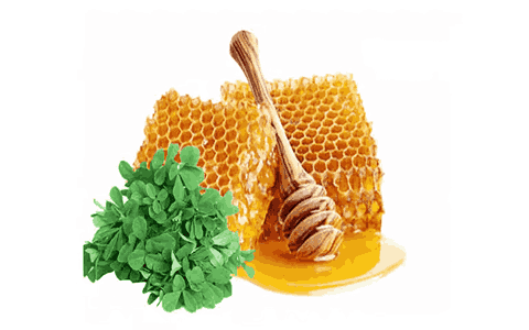 قیمت خرید عسل یونجه طبیعی با فروش عمده